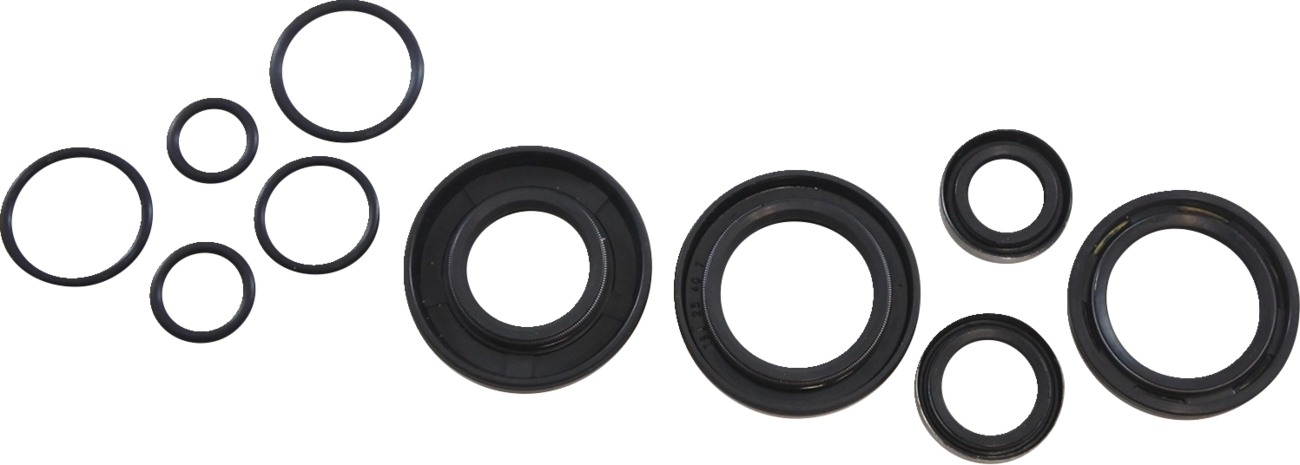 Oil Seal Kit