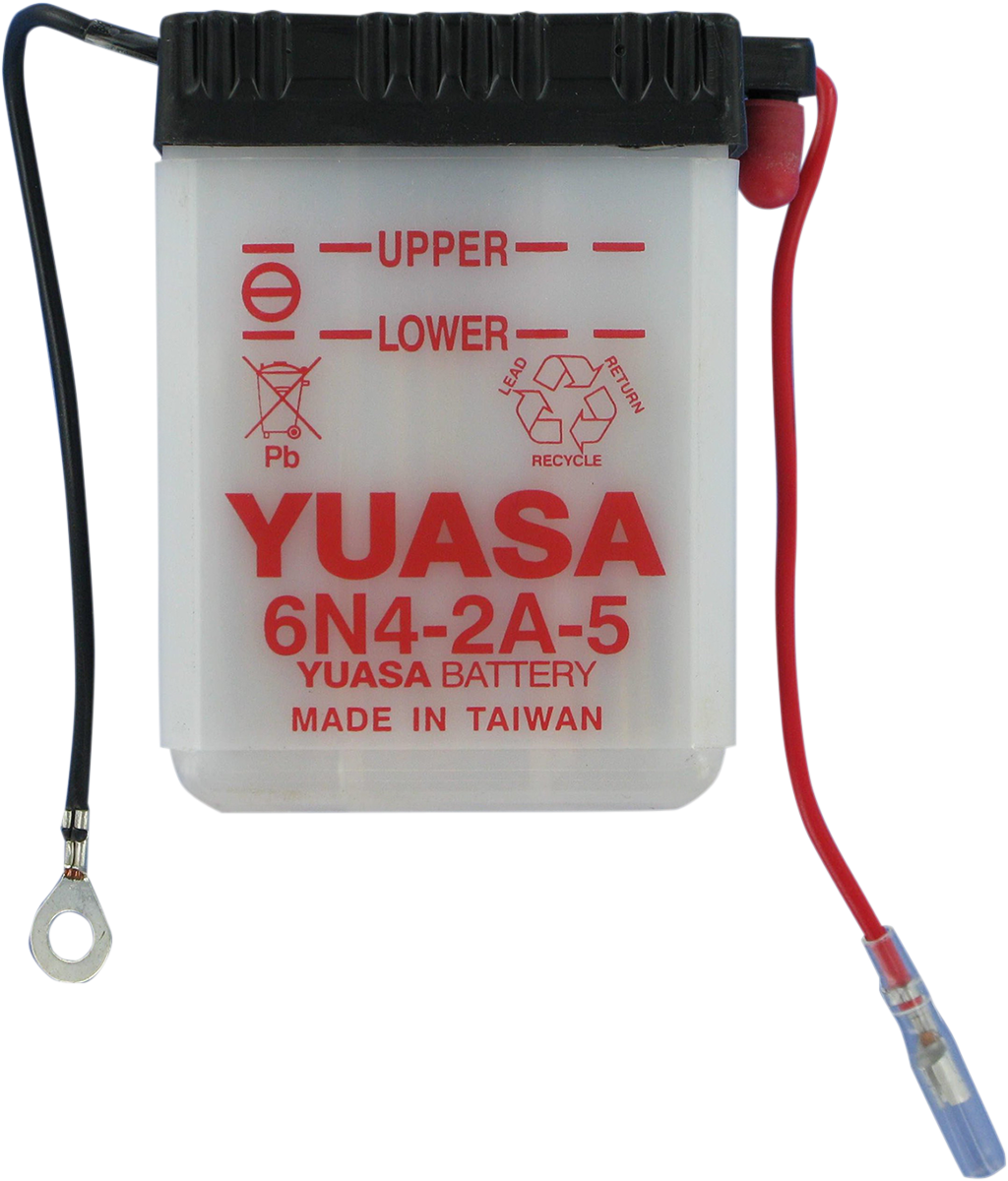 Conventional Battery — 6 V