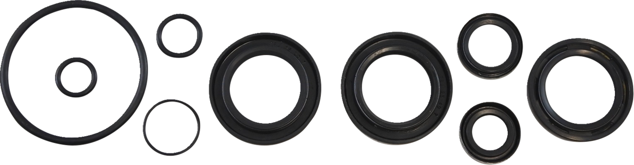 Oil Seal Kit