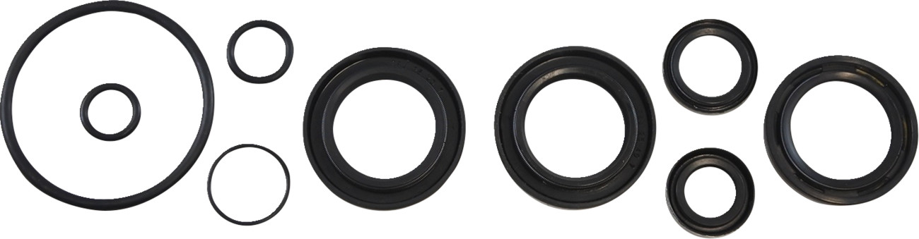 VINTCO Oil Seal Kit