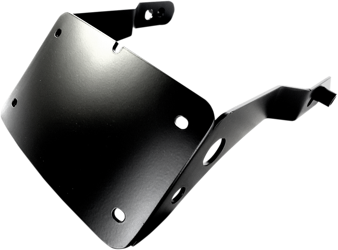 CYCLE VISIONS Curved License Plate Holder