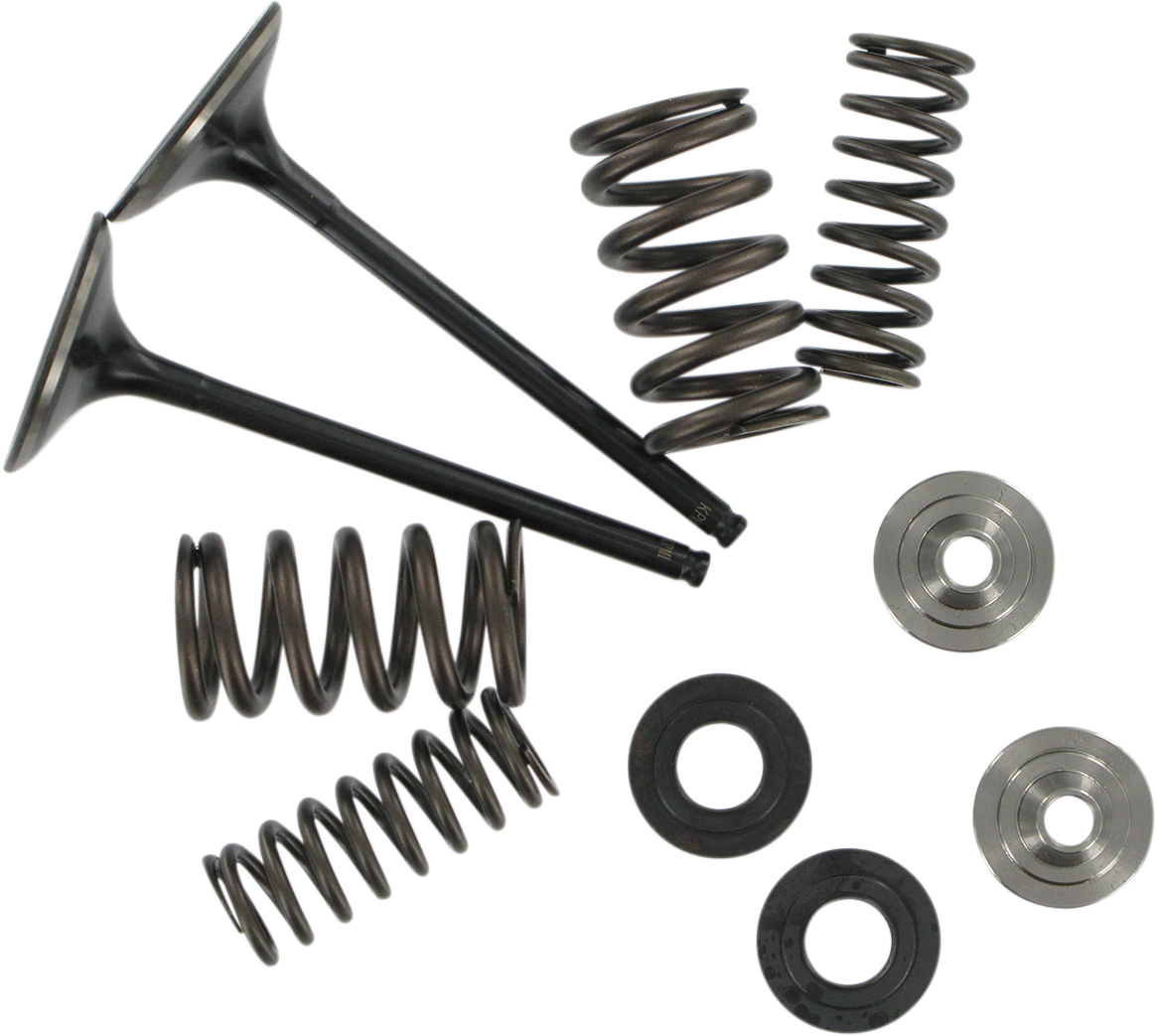 Stainless Steel Conversion Valve and Spring Kit
