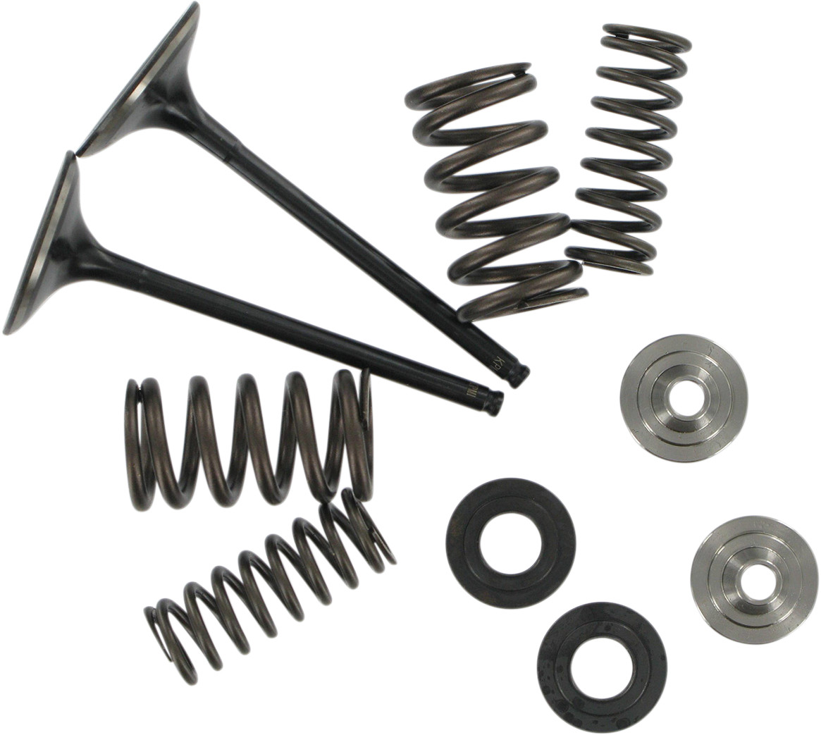 KIBBLEWHITE Intake Stainless Conversion Valve and Spring Kit