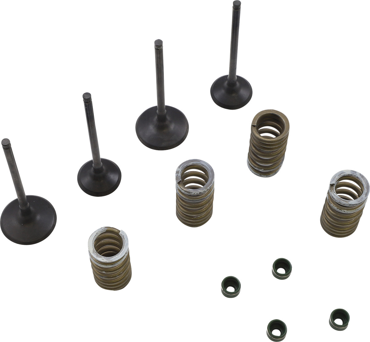 WISECO Valve Kit