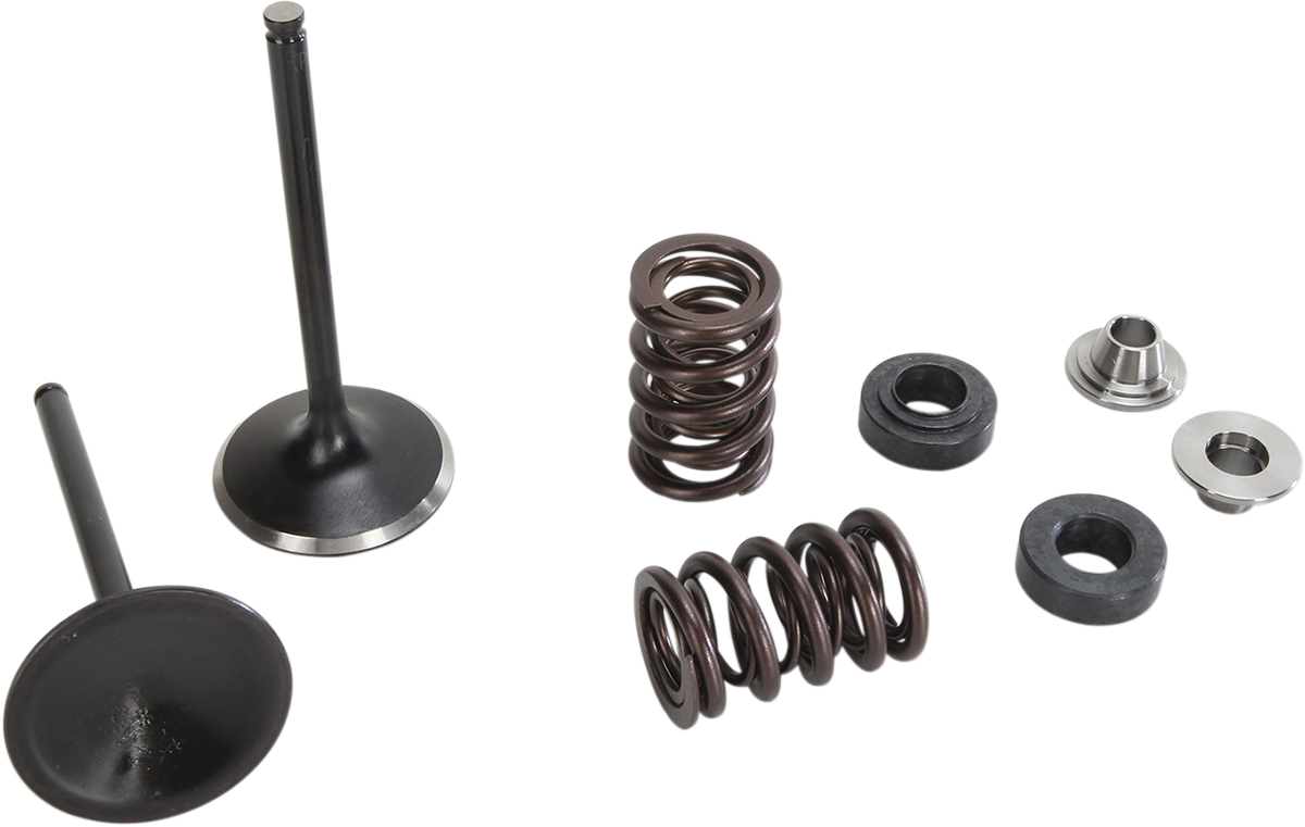 Stainless Exhaust Valve and Spring Kit