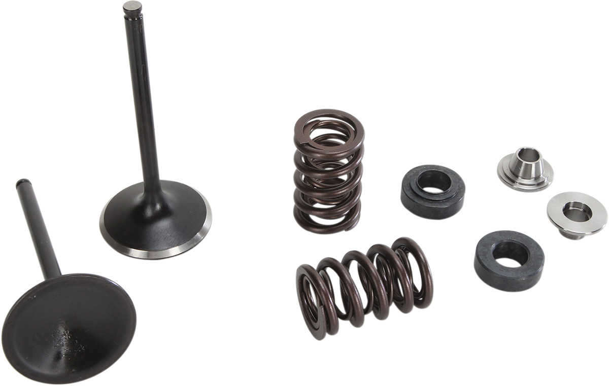 Moose Racing Exhaust Valve and Spring Kit
