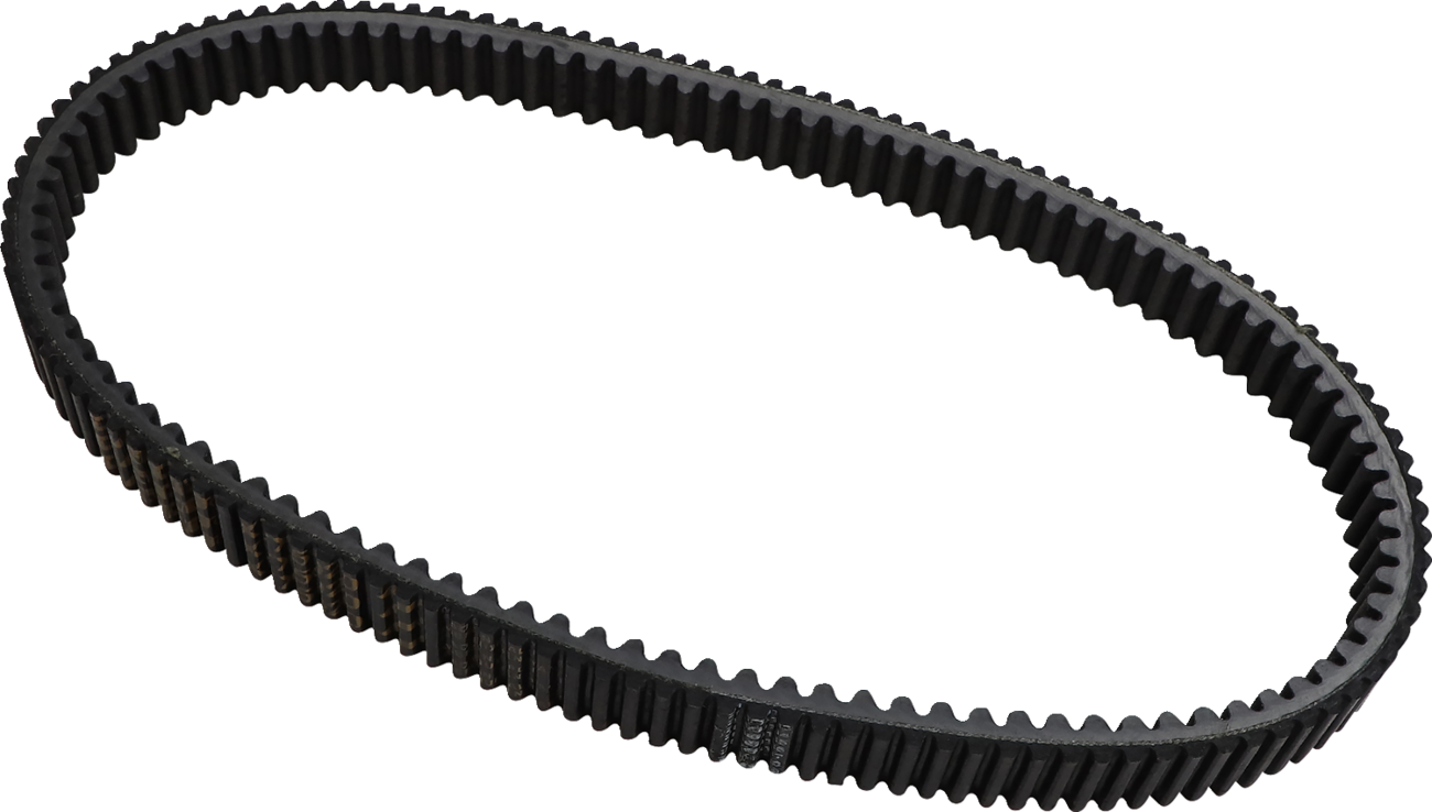 Dayco products,llc Drive Belt Polaris