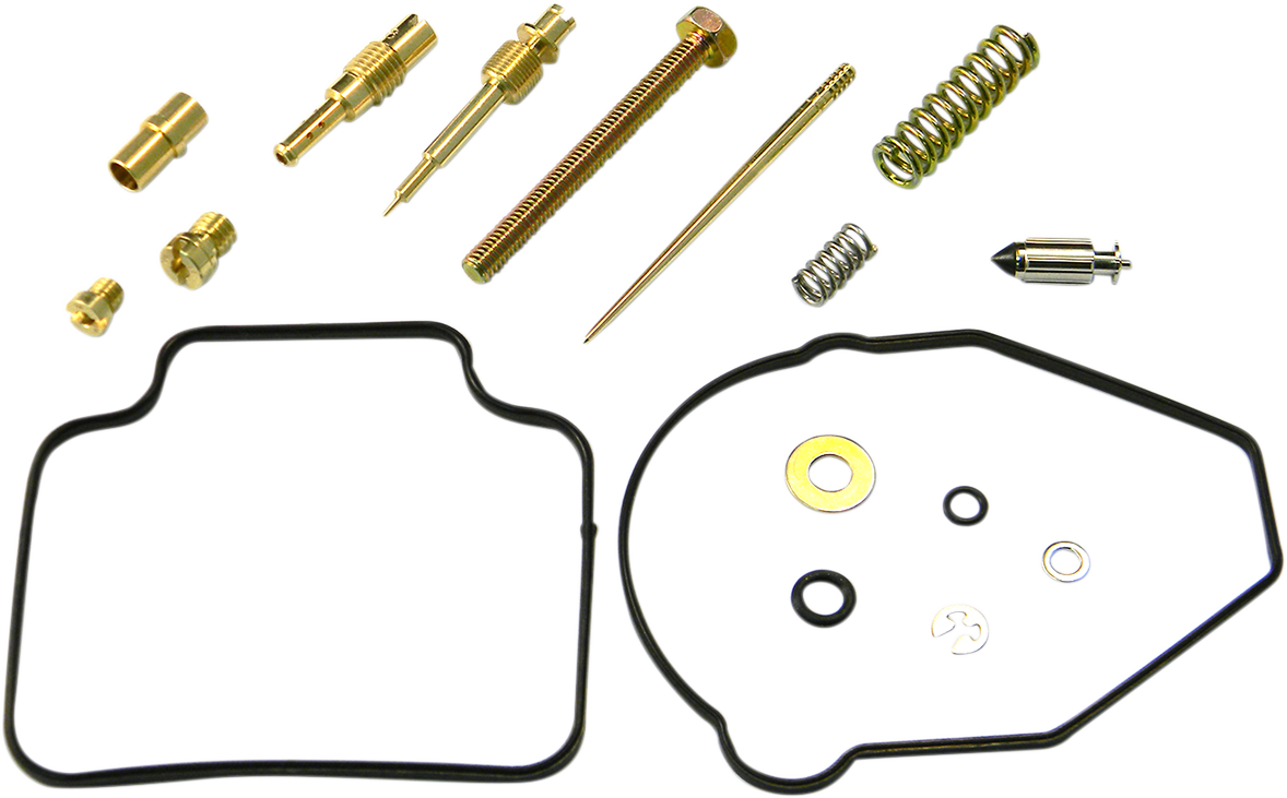 Carburetor Repair Kit