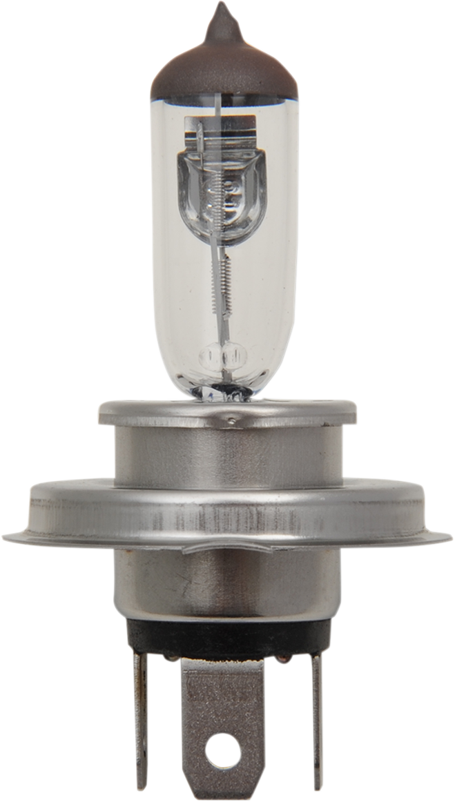 Halogen Bulb