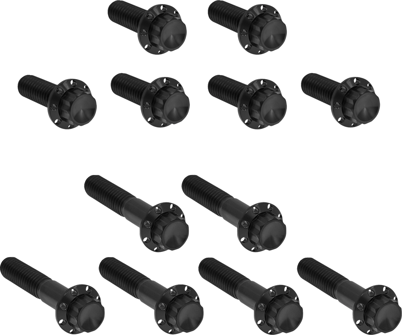 ARLEN NESS Rocker Box 12-Point Titanium Bolt Kit