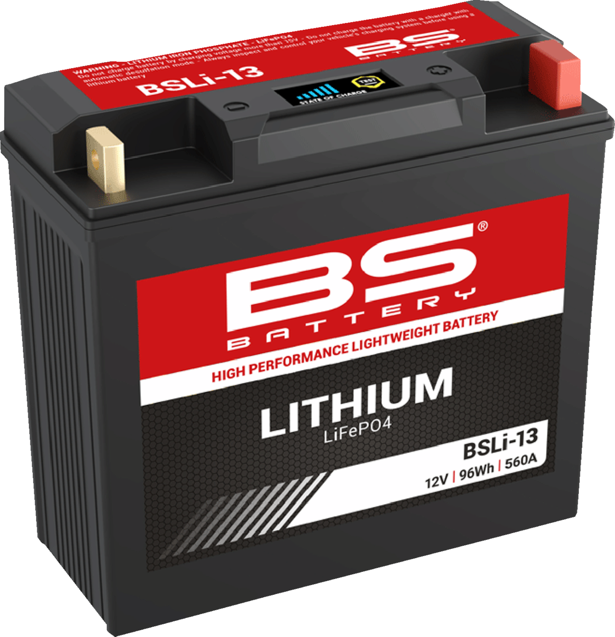 Lithium LiFePO4 Battery