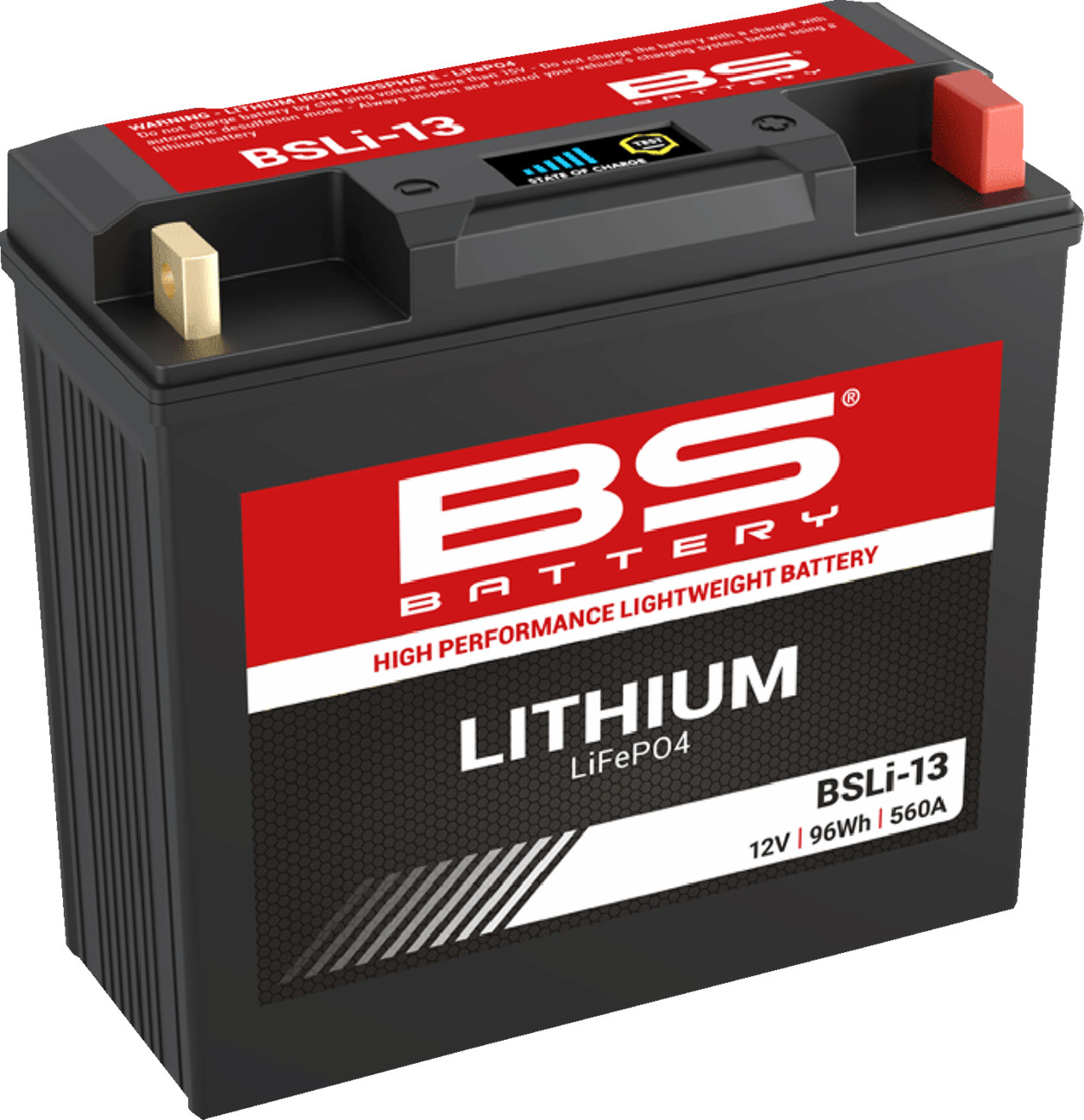BS BATTERY Lithium LiFePO4 Battery