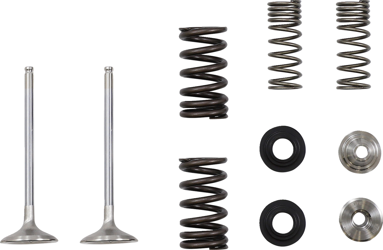 Moose Racing Exhaust Valve and Spring Kit