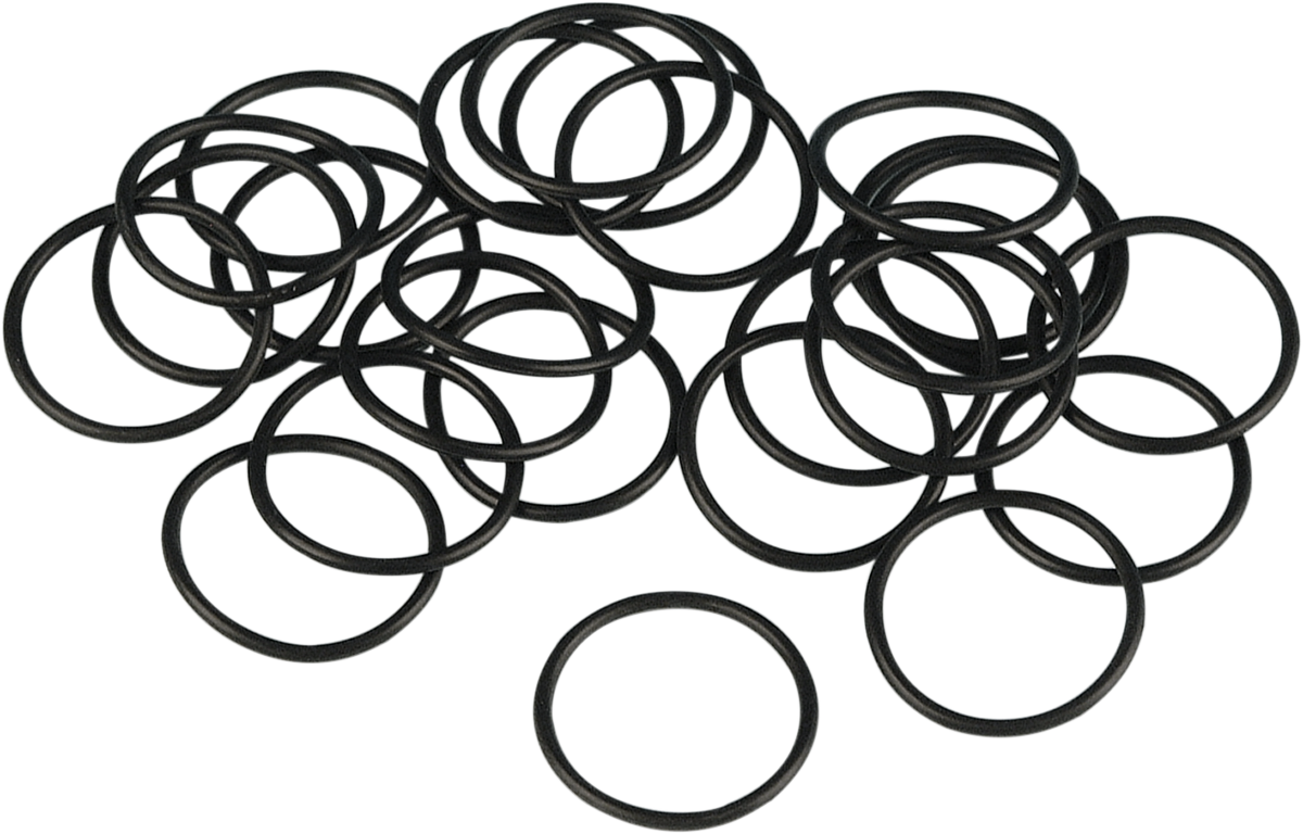 Main Shaft O-Ring