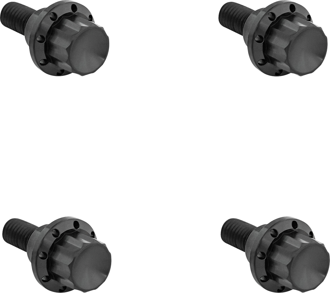 ARLEN NESS Windshield Titanium 12-Point Bolt Kit