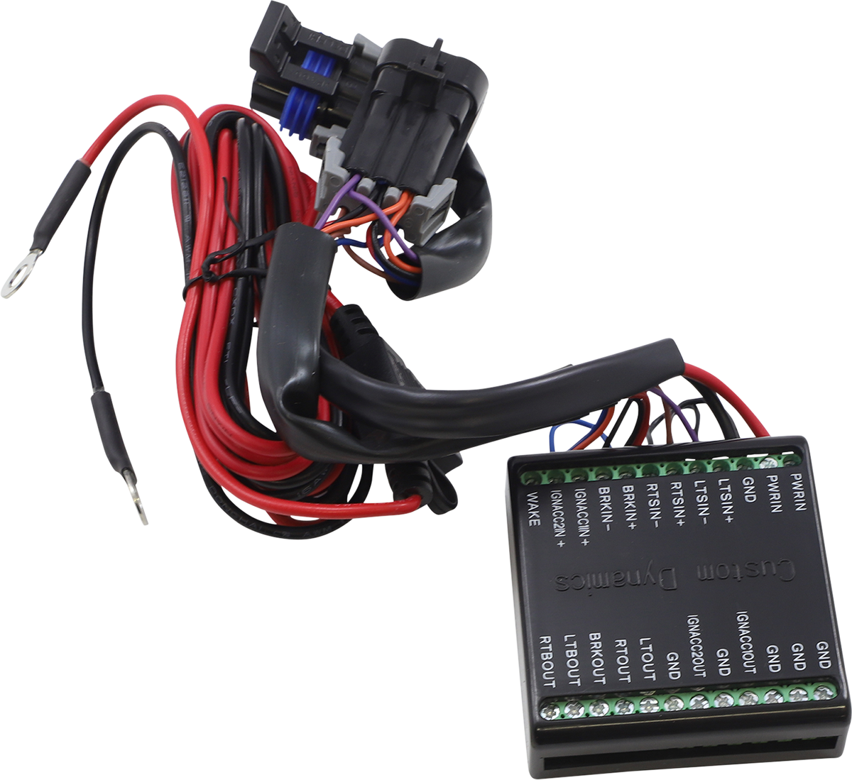 Custom Dynamics Signal Isolator Module For Indian Challenger / Pursuit 2020-2025