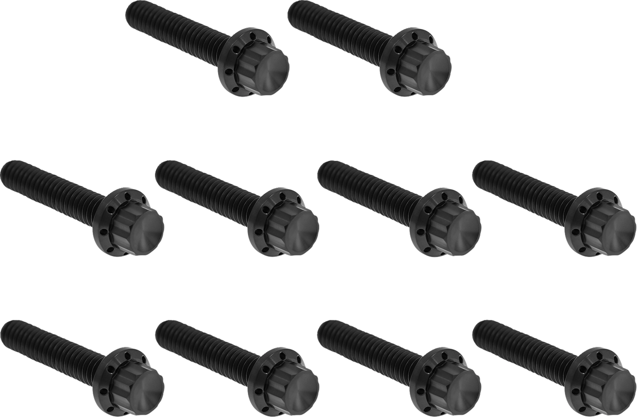 ARLEN NESS Cam Cover/Point Cover Titanium 12-Point Bolt Kit