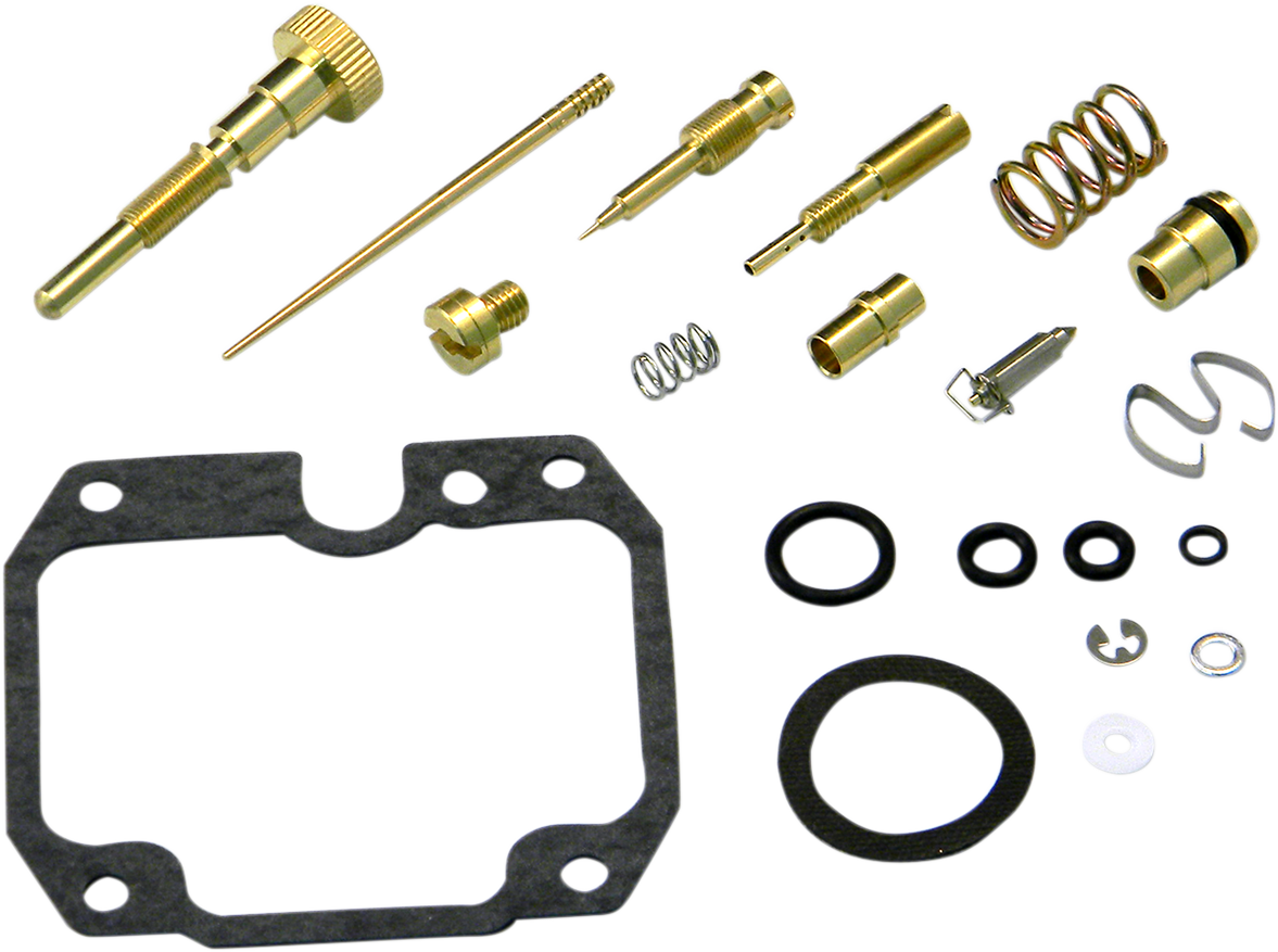 Carburetor Repair Kit