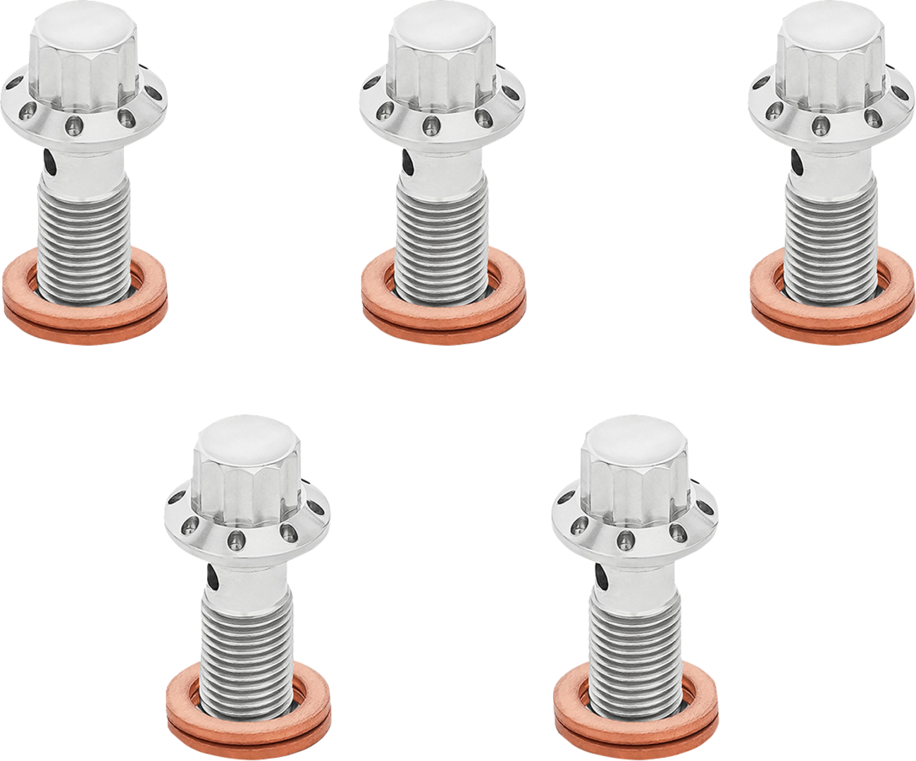 ARLEN NESS Titanium 12-Point Banjo Bolt