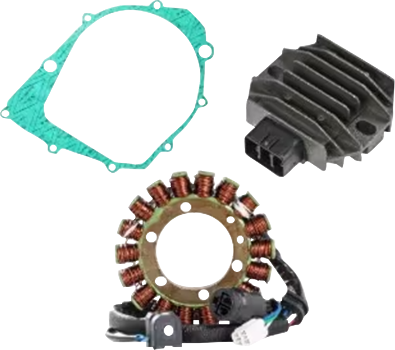 RICK'S MOTORSPORT ELECTRIC Charging Kit