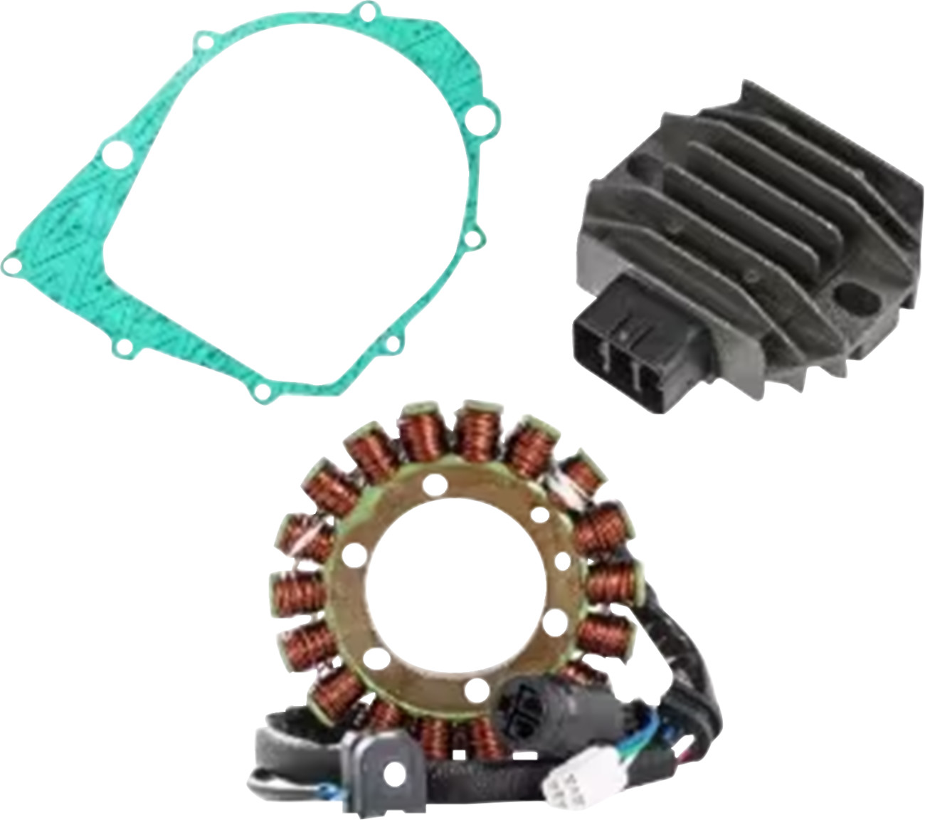 RICK'S MOTORSPORT ELECTRIC Charging Kit