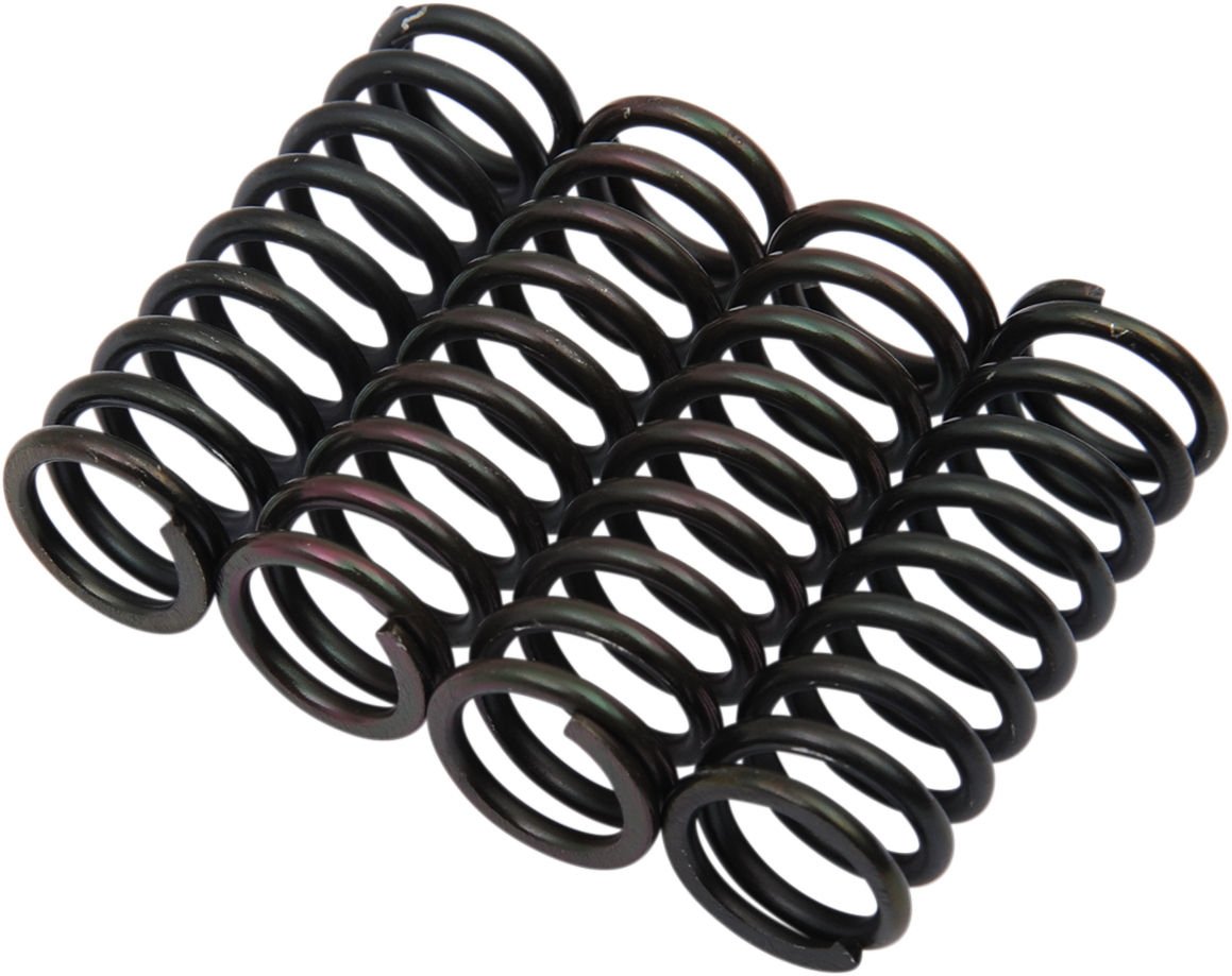 Clutch Spring Kit