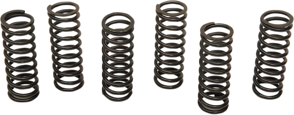Clutch Spring Kit