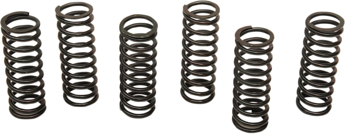 BARNETT Clutch Spring Kit
