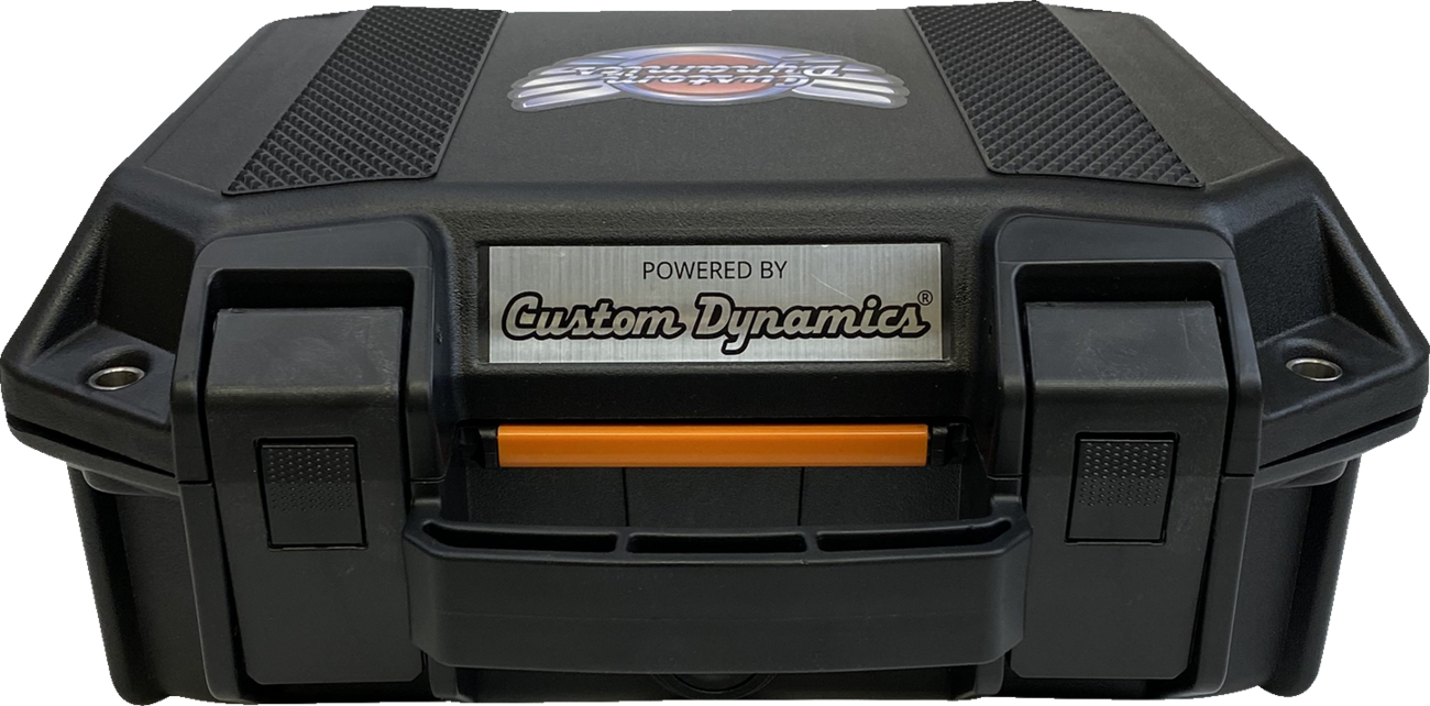Custom Dynamics Lighting Product Test Case