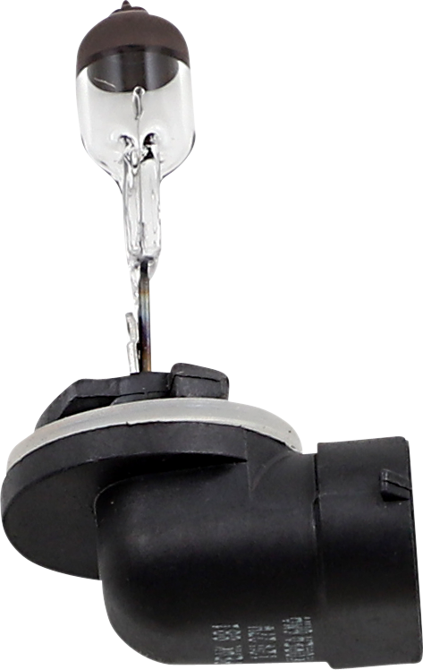 Halogen Bulb