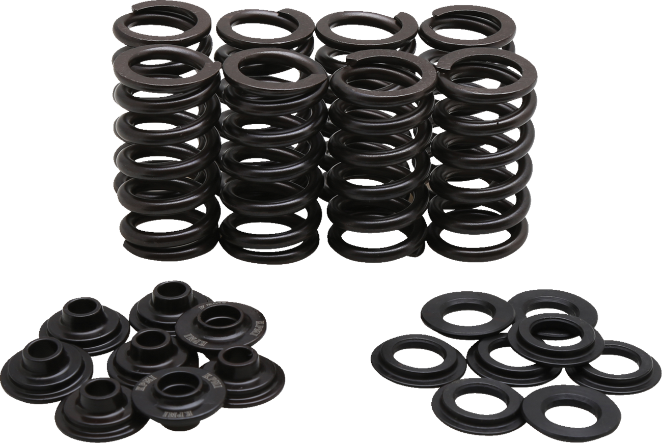 Lightweight Racing Valve Spring Kit