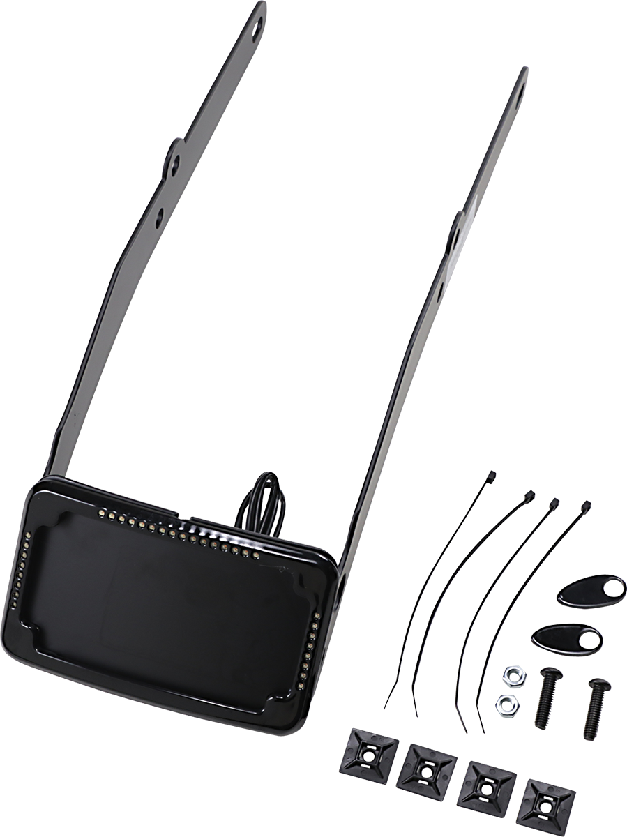 CYCLE VISIONS Curved License Mount with Frame