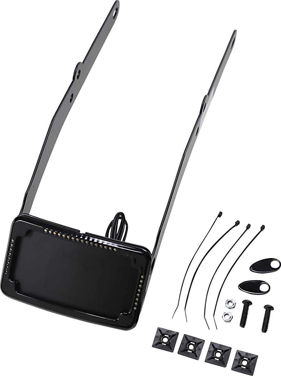 CYCLE VISIONS Curved License Mount with Frame