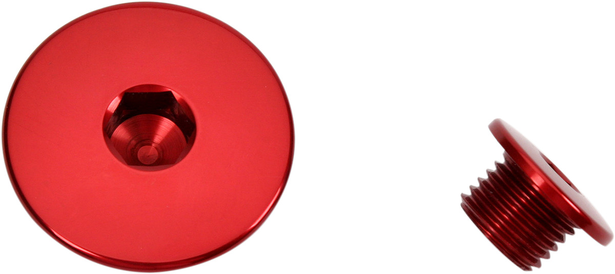 WORKS CONNECTION Engine Plug