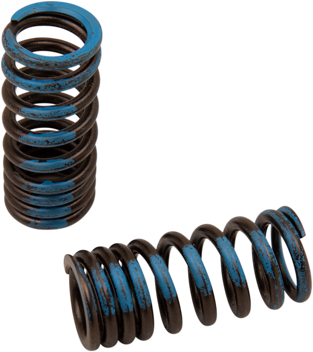 XCELDYNE Valve Springs
