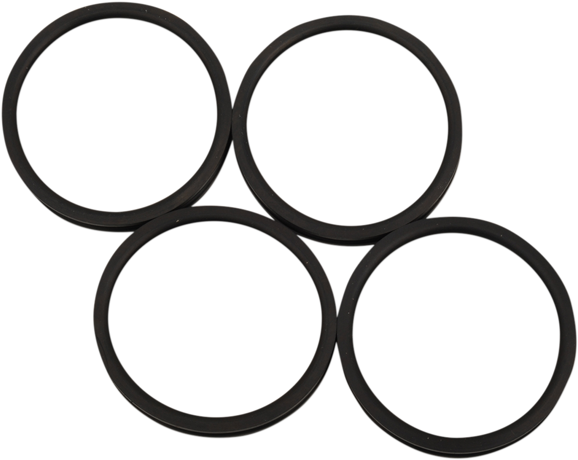 Intake Manifold Seal