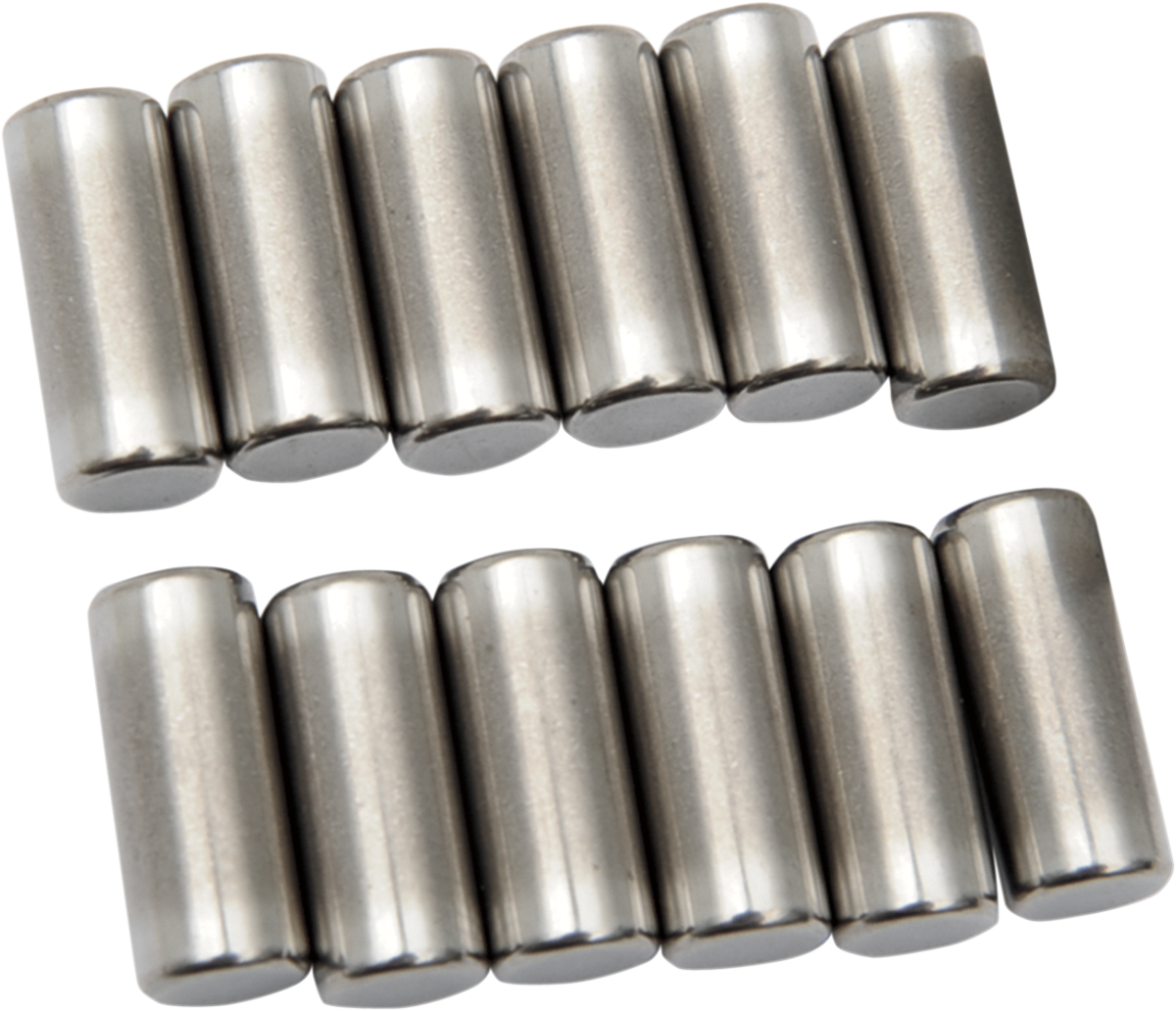 Crankcase Roller Bearings for Knucklehead