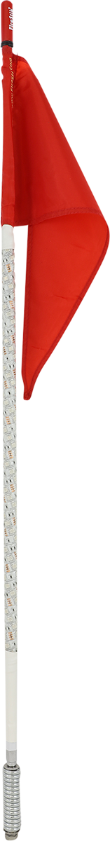 RF Light Rod Whip