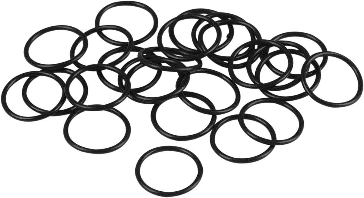 JAMES GASKET Chain Housing Cover O-Ring