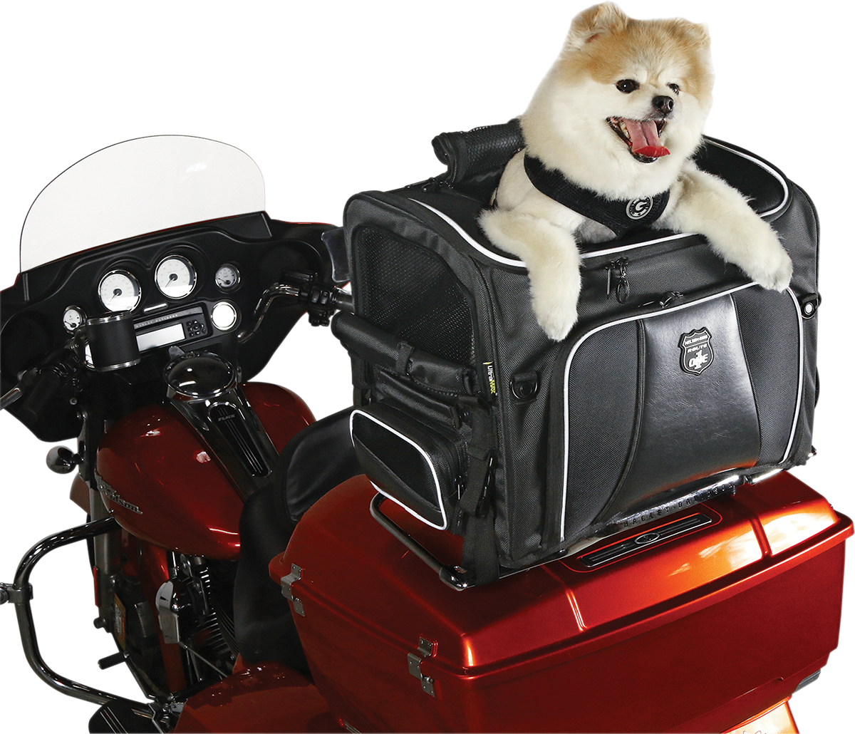 Nelson Rigg Route 1 Rover Pet Carrier