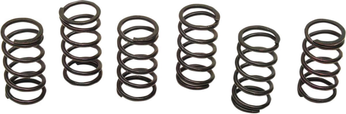 Clutch Spring Kit