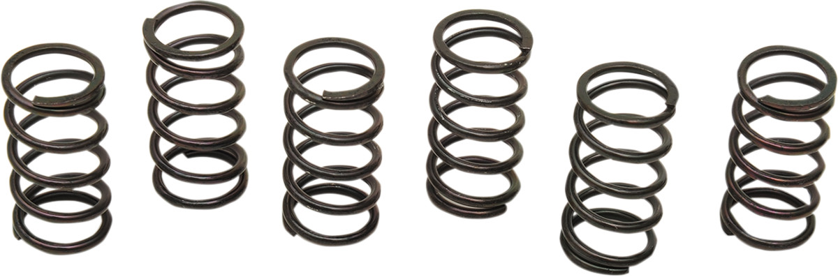 BARNETT Clutch Spring Kit