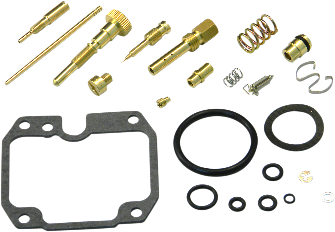 Carburetor Repair Kit