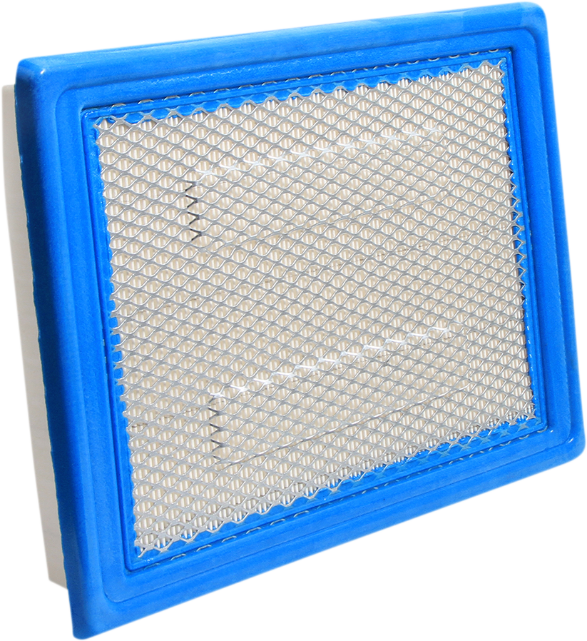All balls Replacement Air Filter - Polaris