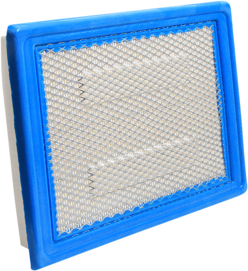 All balls Replacement Air Filter - Polaris