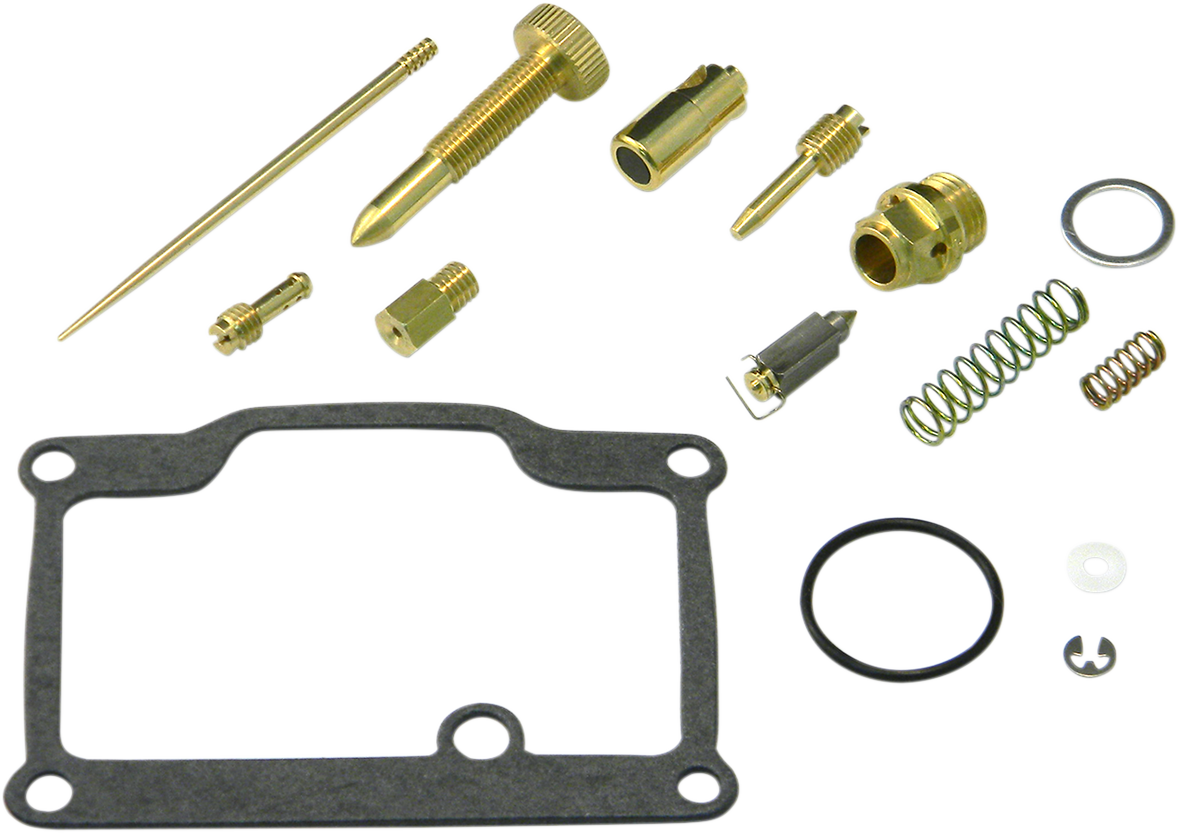 Carburetor Repair Kit