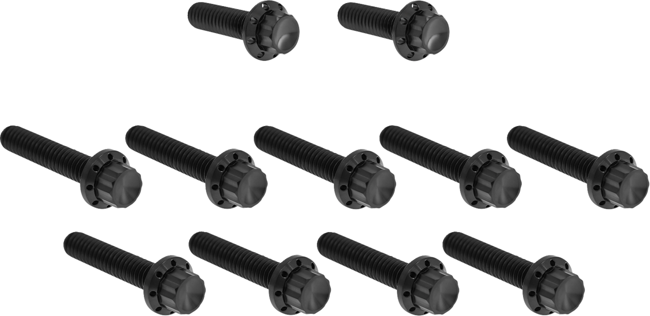 ARLEN NESS Cam Cover/Point Cover Titanium 12-Point Bolt Kit