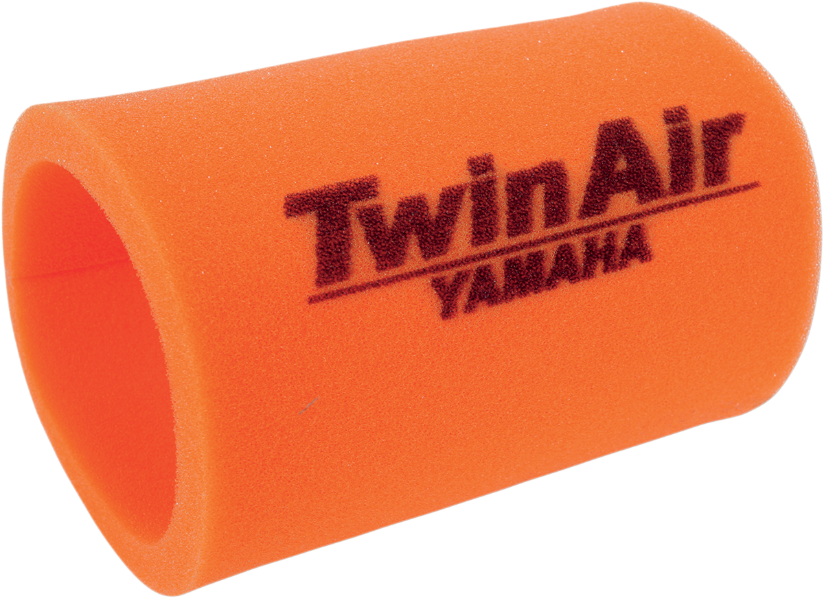 Twin Air Air Filter