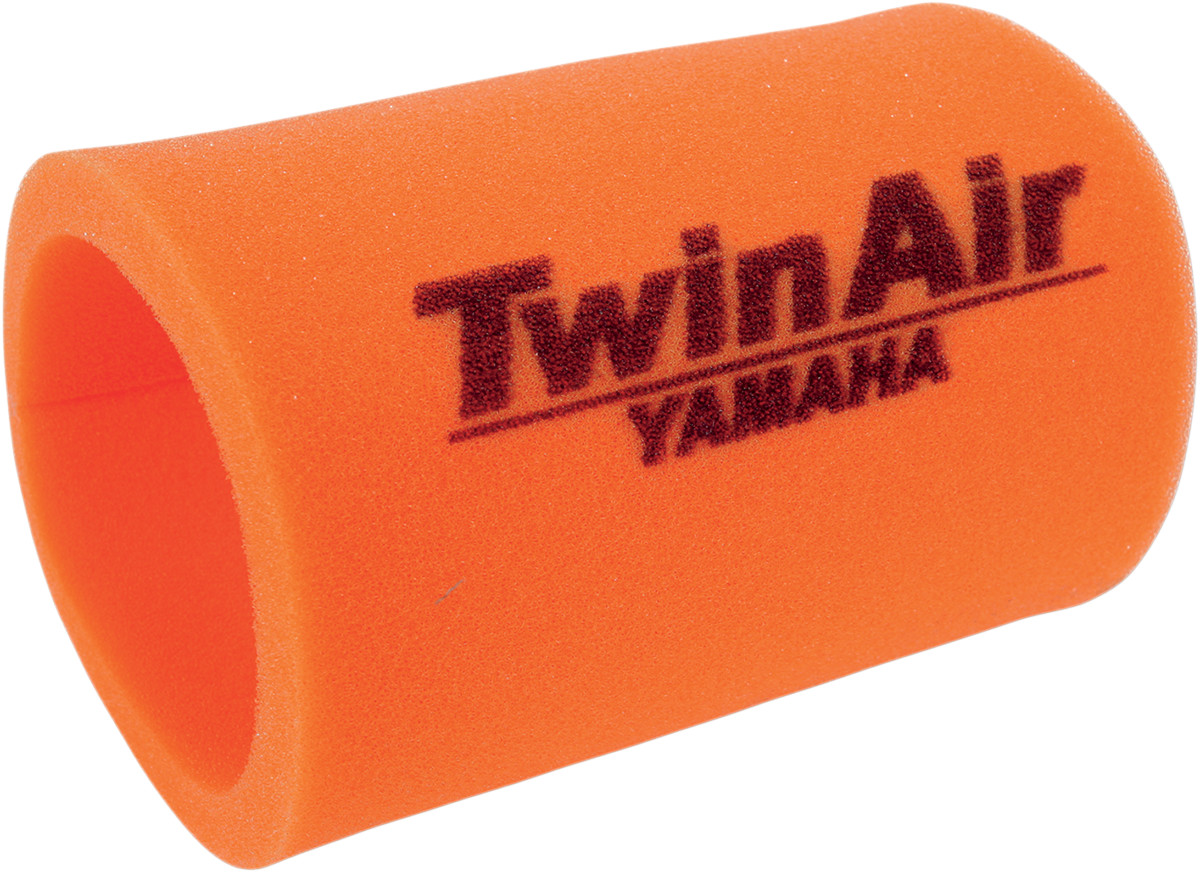Twin Air Air Filter