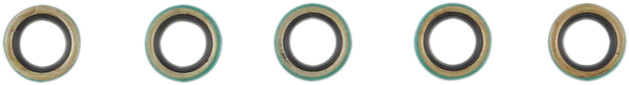 Shifter Shaft Seal